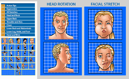 Sample stretch images from the program.