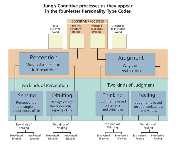 Jung's personality type indicator model.