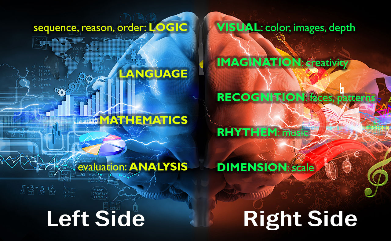 Imagery depicts characteristics of left- and right-brain people.